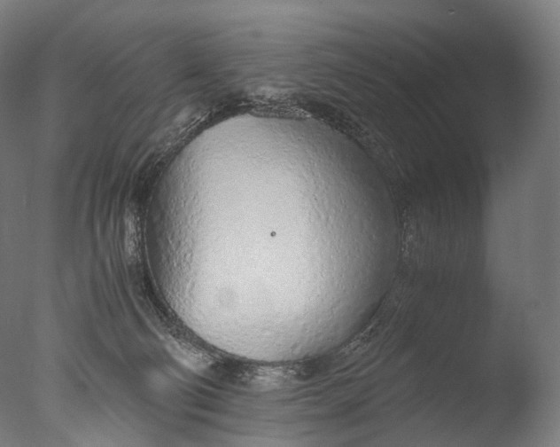 X0000076410130200610161110