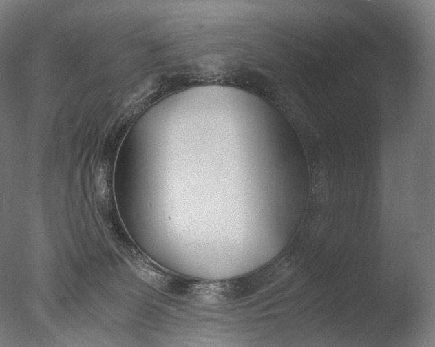 X0000076410131200610161110