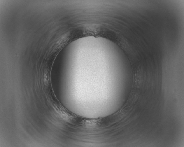 X0000076410134200610161110