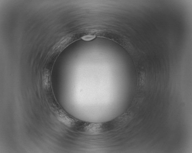 X0000076410138200610161110