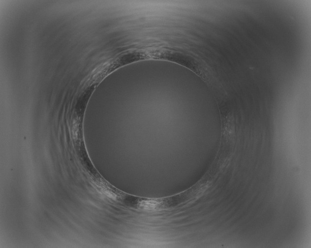 X0000076410139200610161110