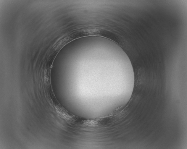 X0000076410140200610161110