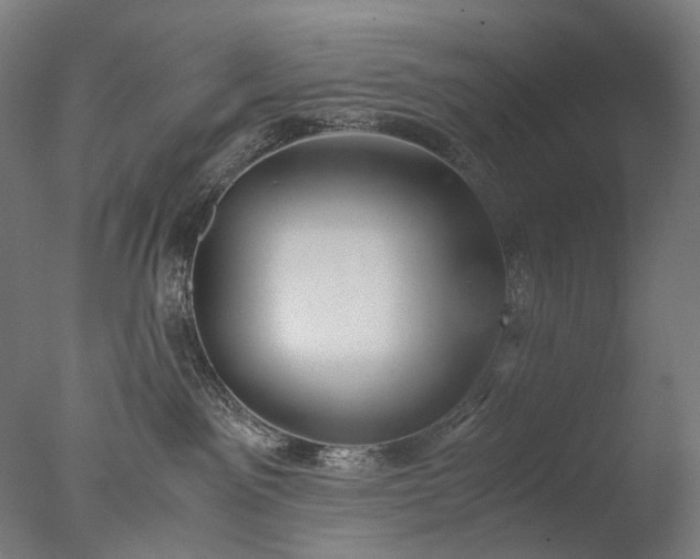 X0000076410141200610161110