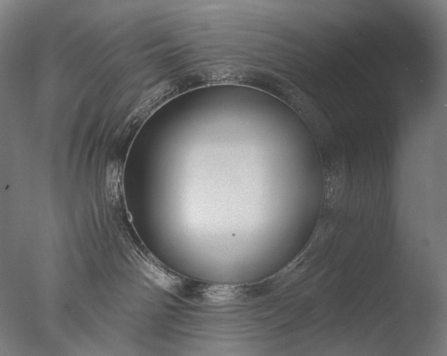 X0000076410142200610161110