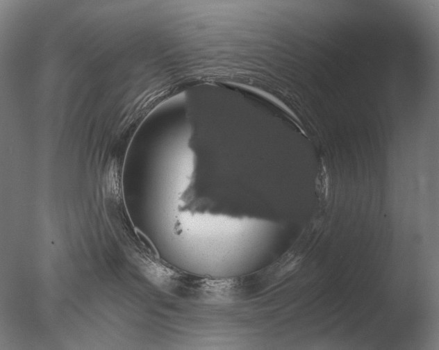 X0000076410143200610161110