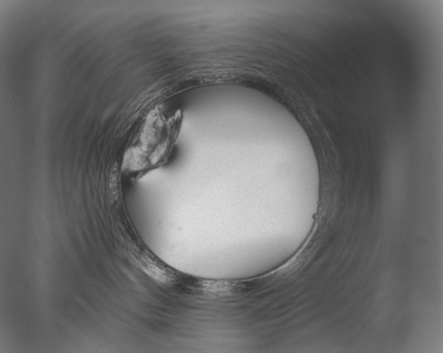 X0000076410144200610161110