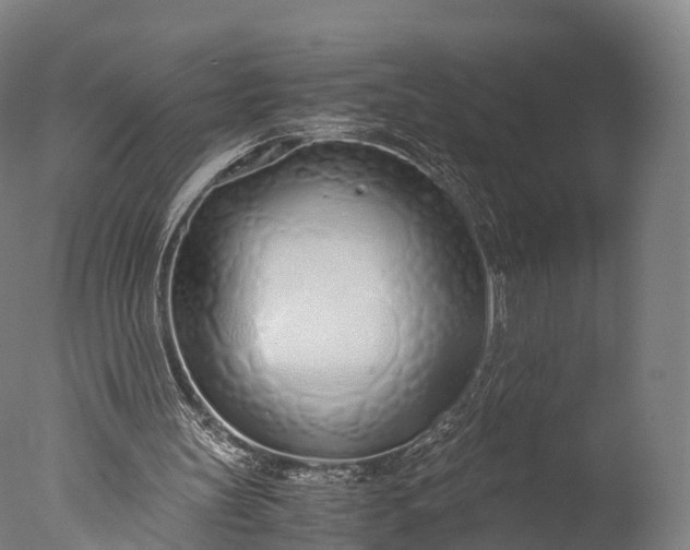 X0000076410147200610161109