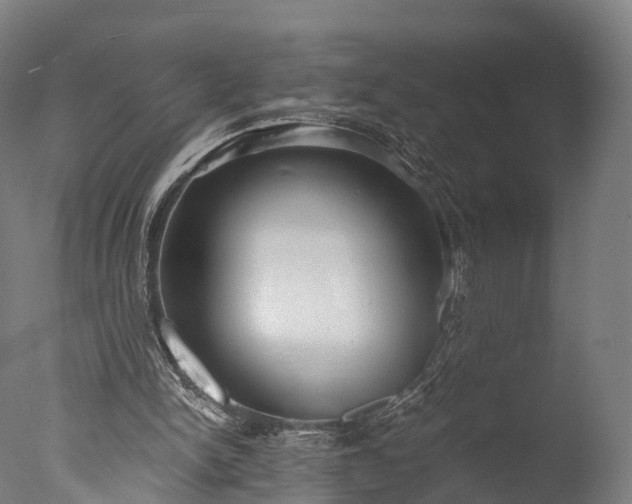 X0000076410150200610161109