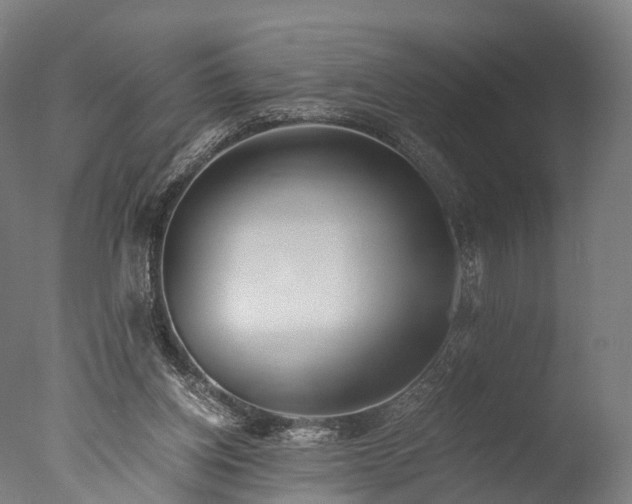 X0000076410158200610161110