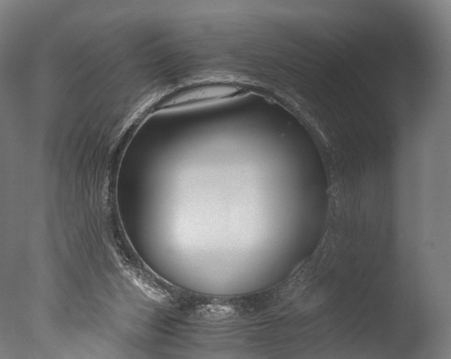 X0000076410159200610161110