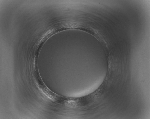 X0000076410163200610161110