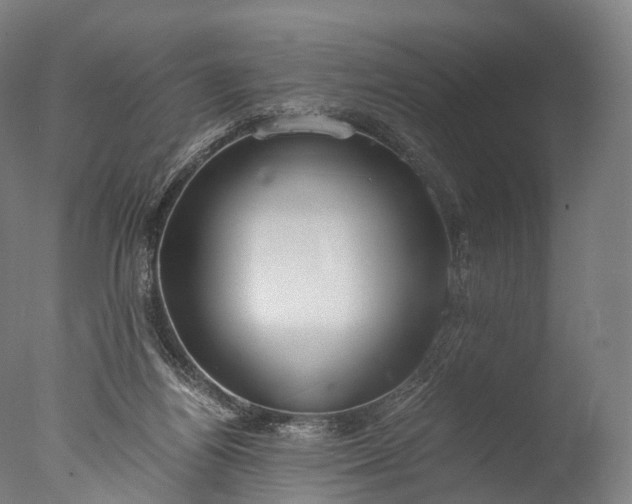 X0000076410164200610161110