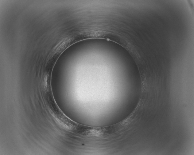 X0000076410166200610161110