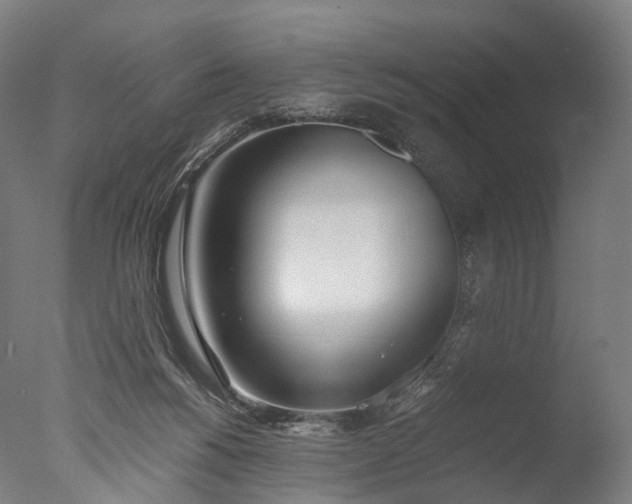 X0000076410168200610161110