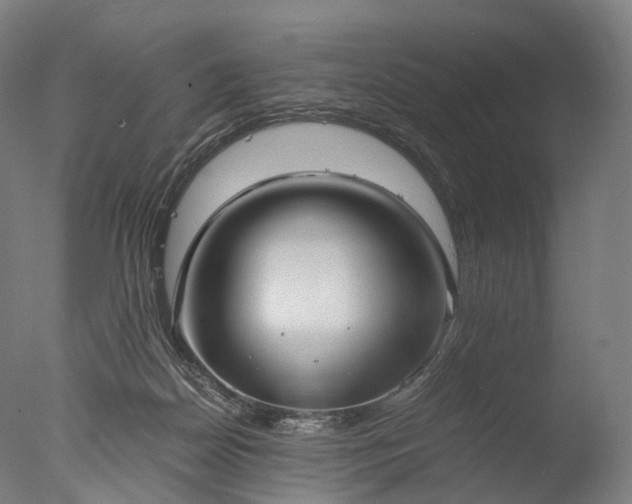 X0000076410170200610161110