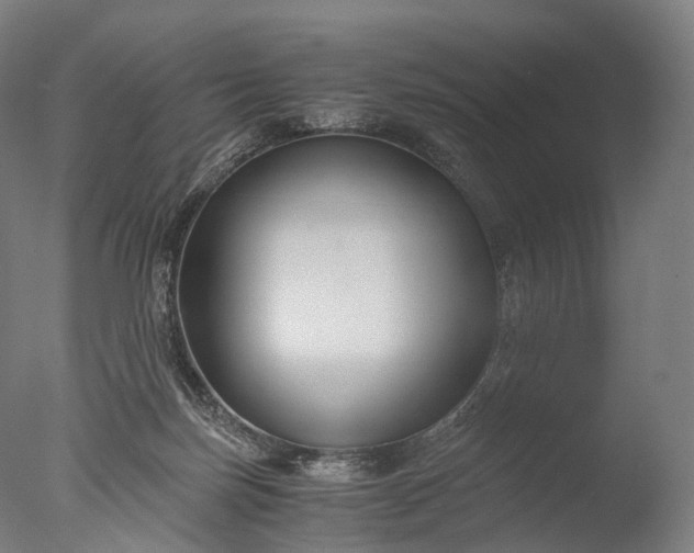 X0000076410171200610161110