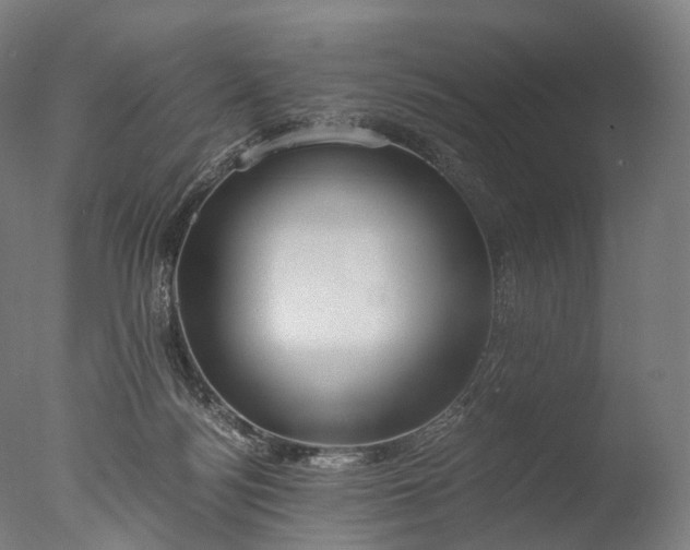 X0000076410172200610161110