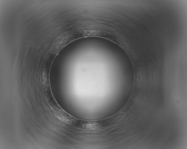X0000076410173200610161110