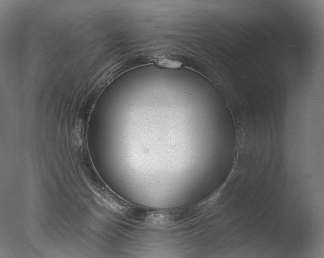 X0000076410174200610161110