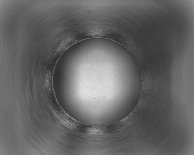 X0000076410175200610161110