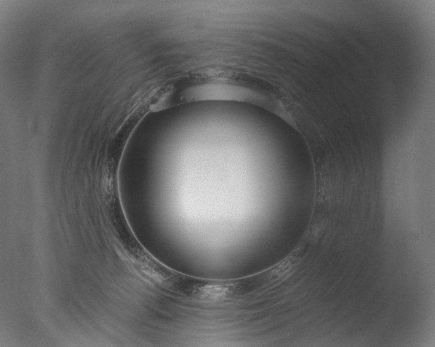 X0000076410176200610161110