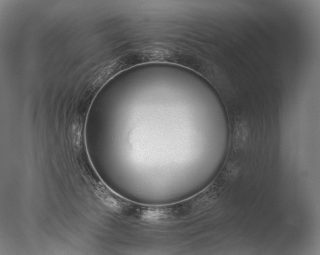 X0000076410177200610161110