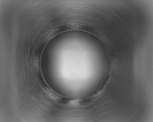 X0000076410178200610161110