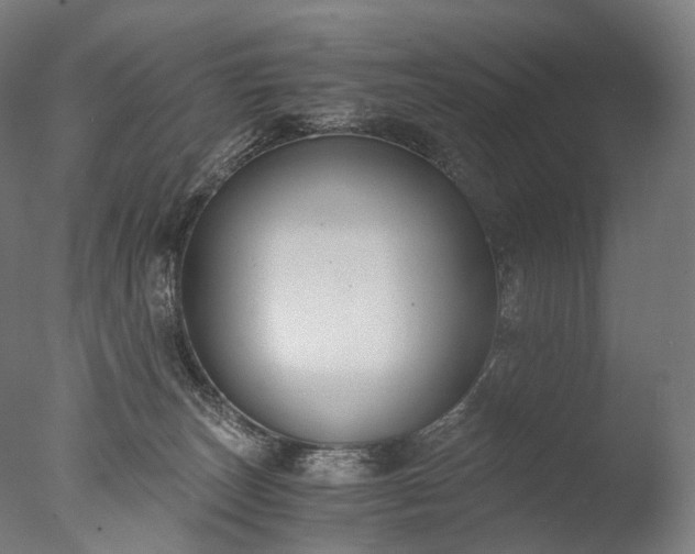X0000076410179200610161110