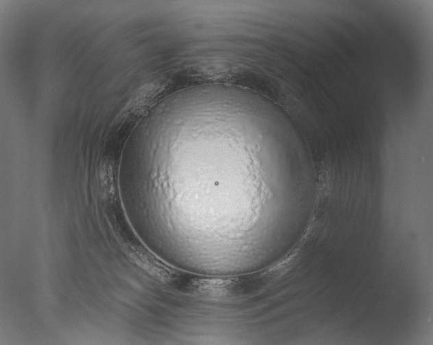 X0000076410182200610161110