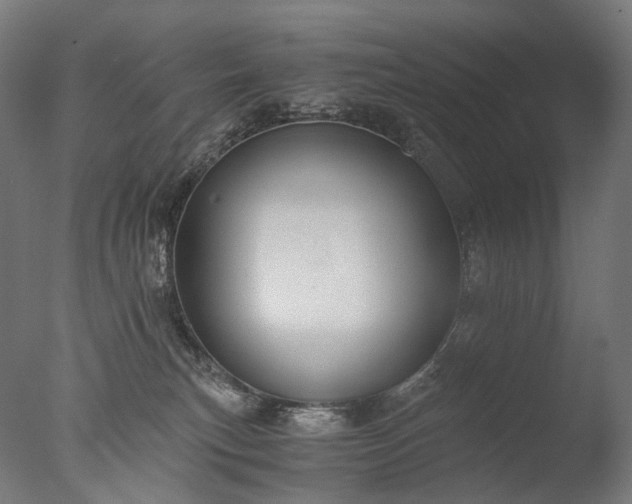 X0000076410183200610161110
