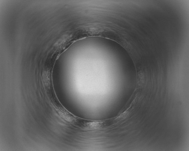 X0000076410184200610161110