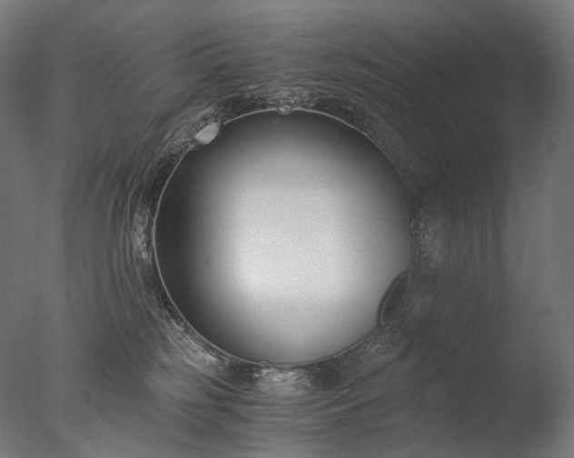X0000076410185200610161110