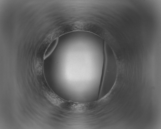 X0000076410186200610161110
