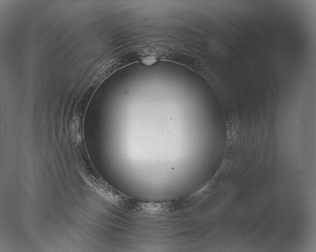 X0000076410187200610161110