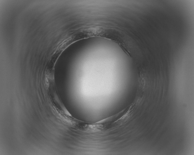 X0000076410188200610161110