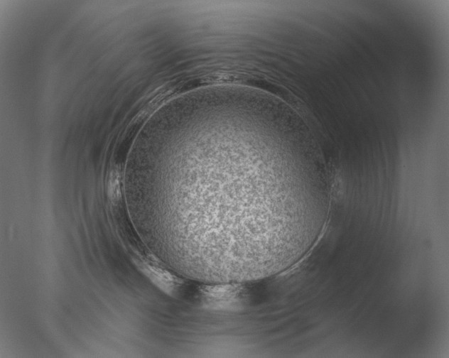 X0000076410191200610161110