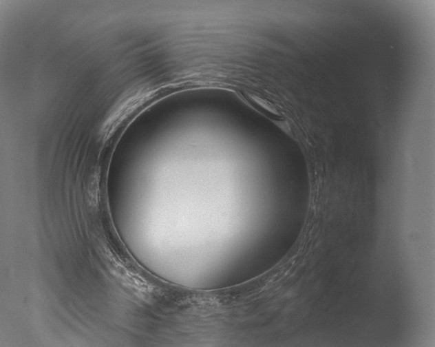 X0000076410194200610161109