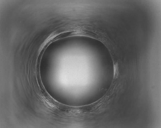 X0000076410195200610161109