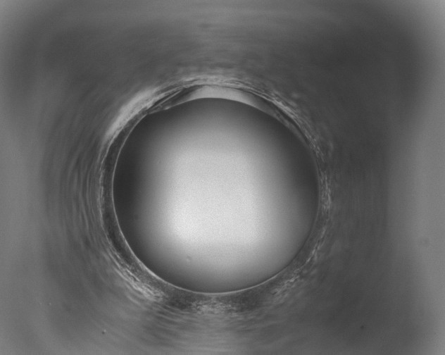 X0000076410199200610161109