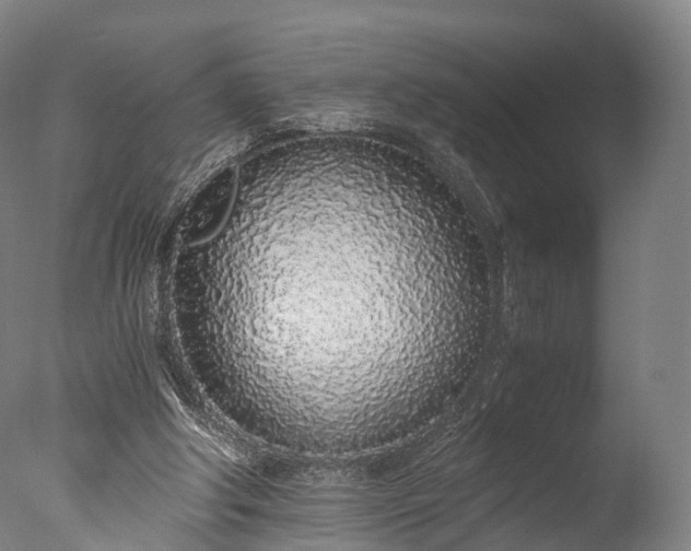 X0000076410202200610161109