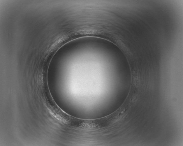 X0000076410207200610161109