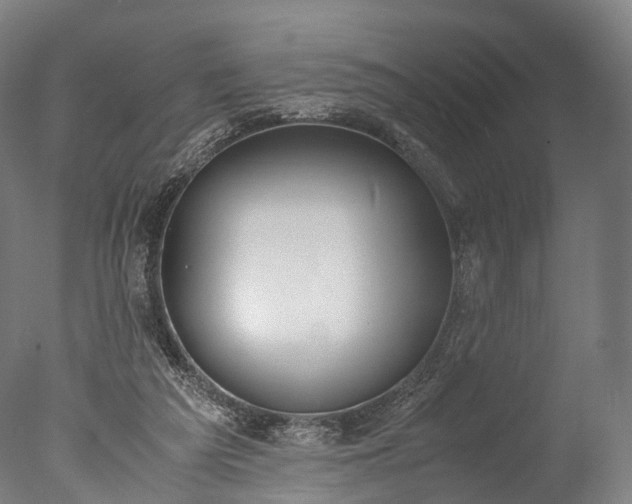 X0000076410209200610161109