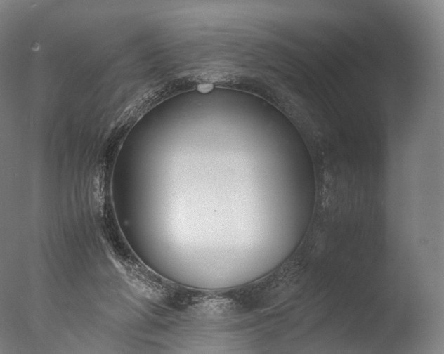 X0000076410210200610161109