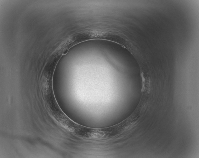 X0000076410215200610161109