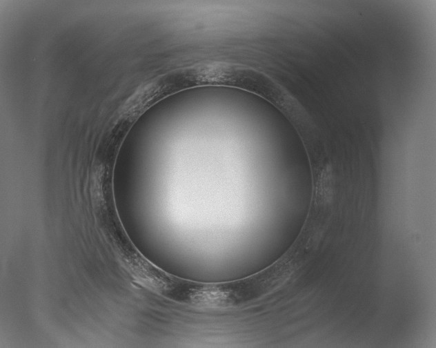 X0000076410217200610161109