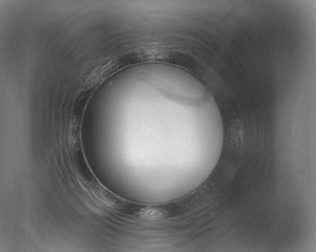X0000076410218200610161109