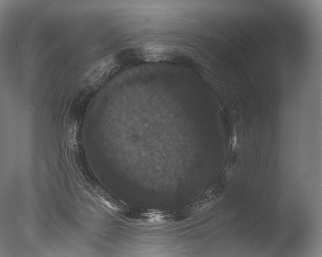 X0000076410219200610161109