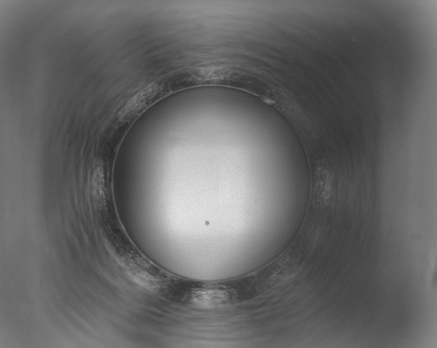 X0000076410220200610161109