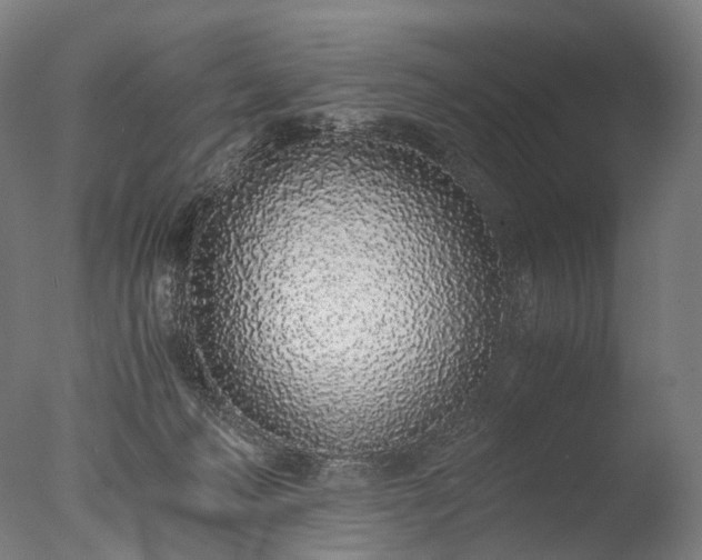 X0000076410222200610161109