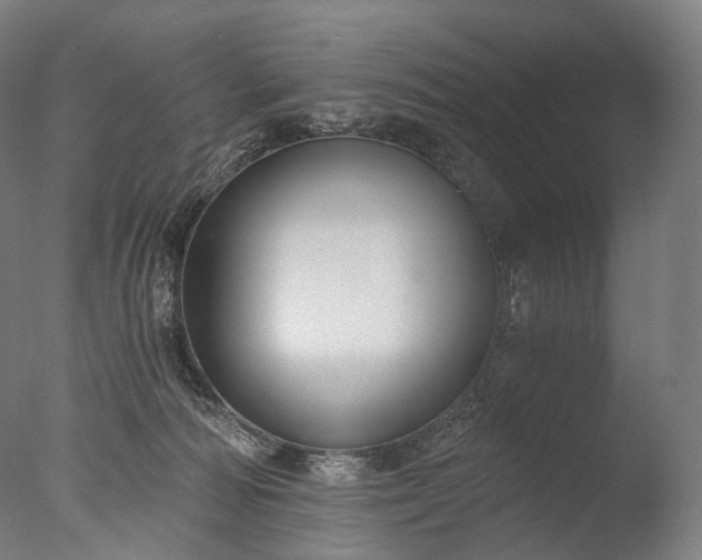X0000076410226200610161109